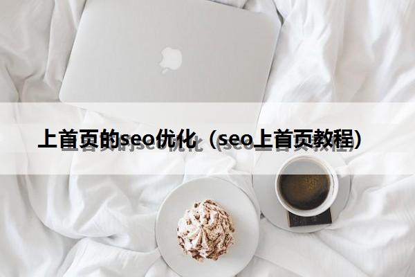 上首页的seo优化（seo上首页教程）