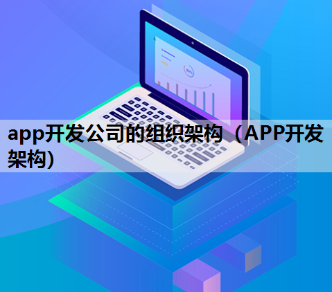 app开发公司的组织架构（APP开发架构）