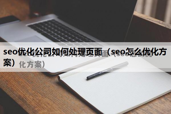 seo优化公司如何处理页面（seo怎么优化方案）