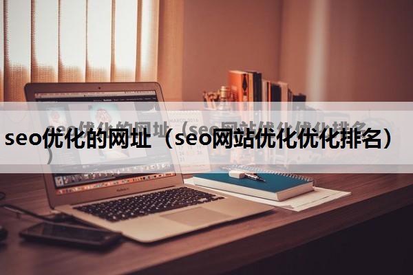 seo优化的网址（seo网站优化优化排名）