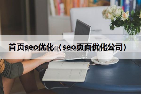 首页seo优化（seo页面优化公司）